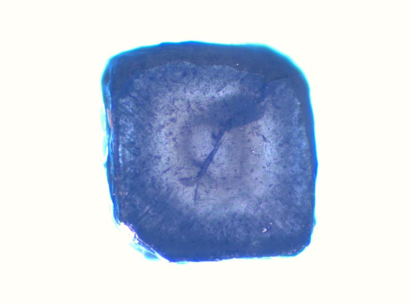 Ud_2_2_035