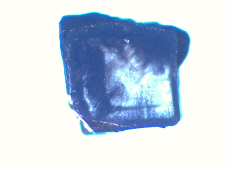 Ud_3_10_044
