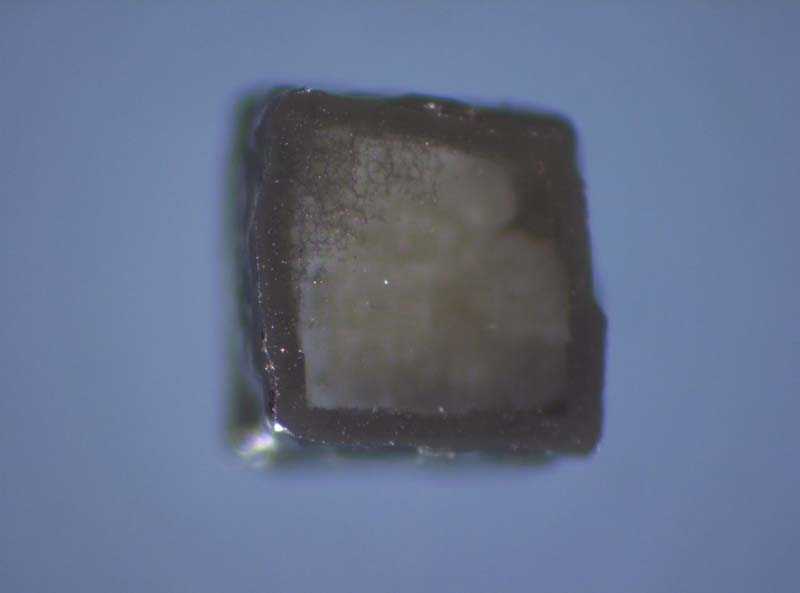 Ud_3_2_057