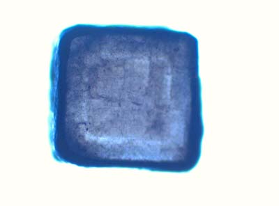 Ud_1_10_024