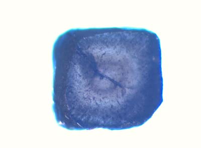 Ud_2_2_033