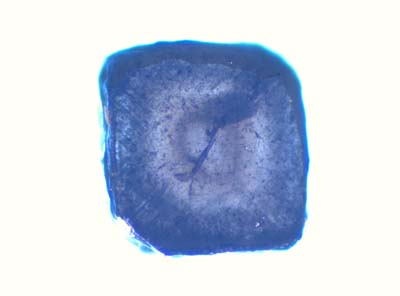 Ud_2_2_035