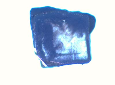 Ud_3_10_044