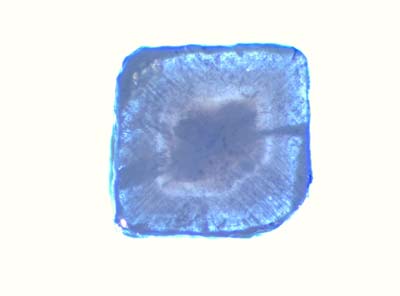 Ud_3_4_066