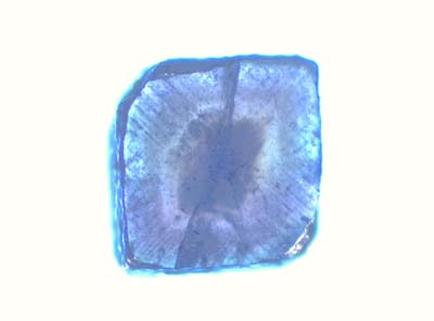 Ud_3_4_068